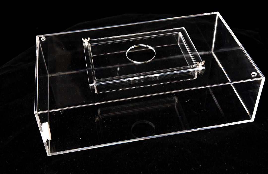 Poddy Mullet Bait Trap