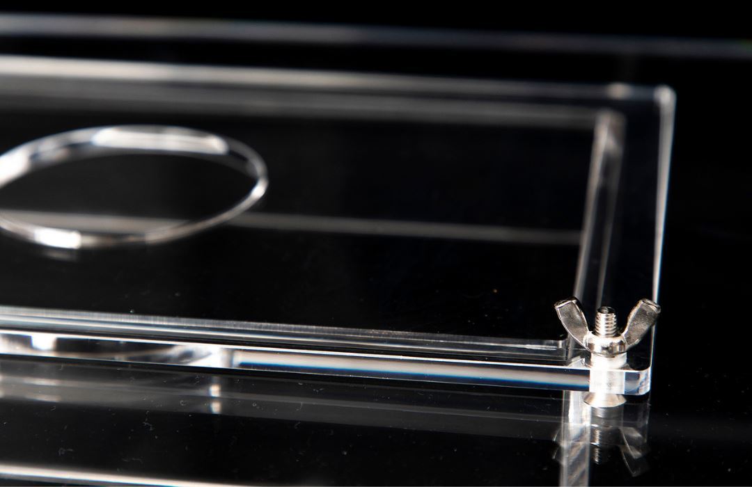 Poddy Mullet Bait Trap