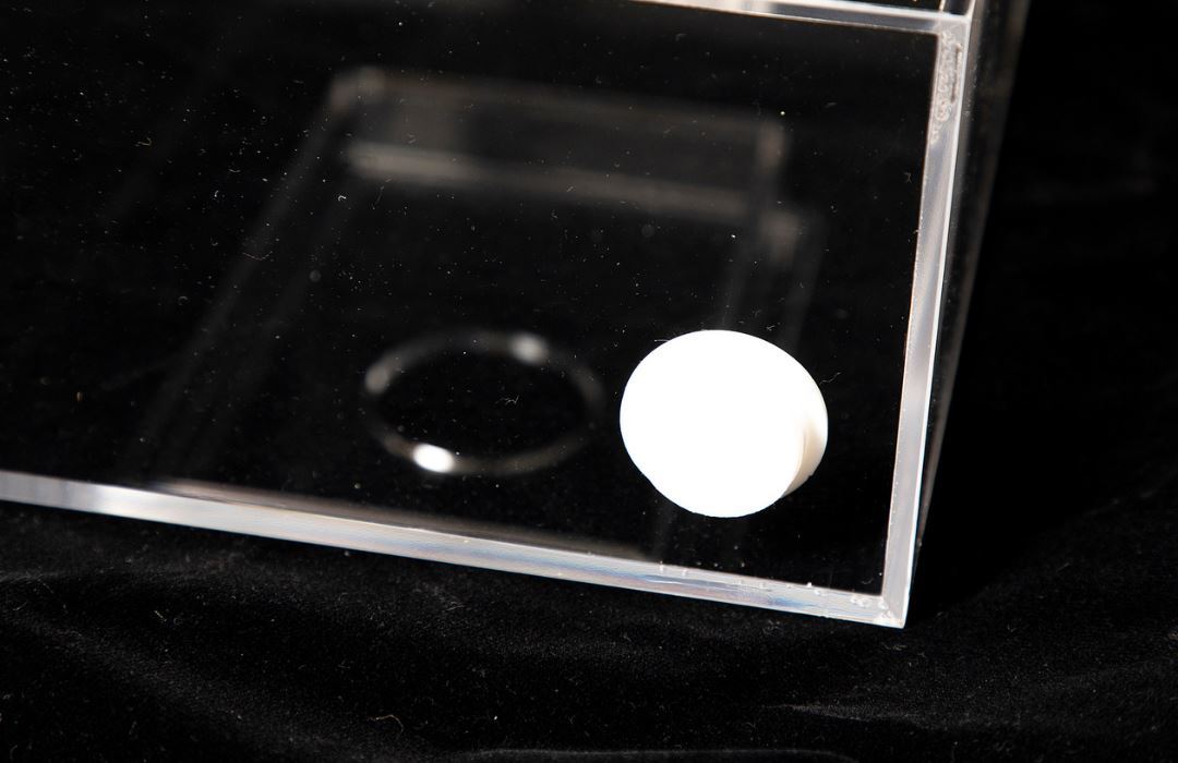 Poddy Mullet Bait Trap