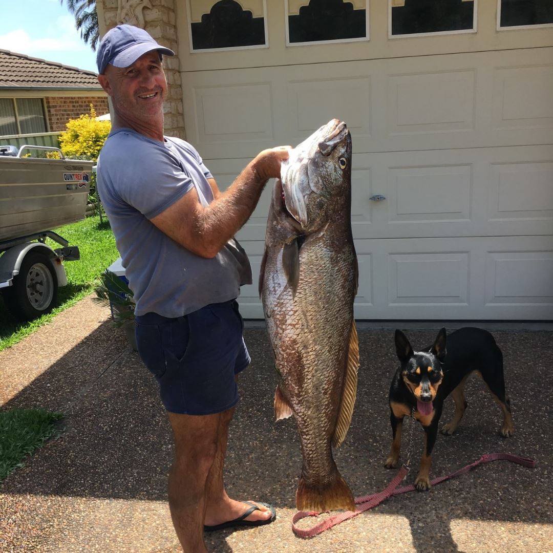 Poddy Mullet Bait Trap